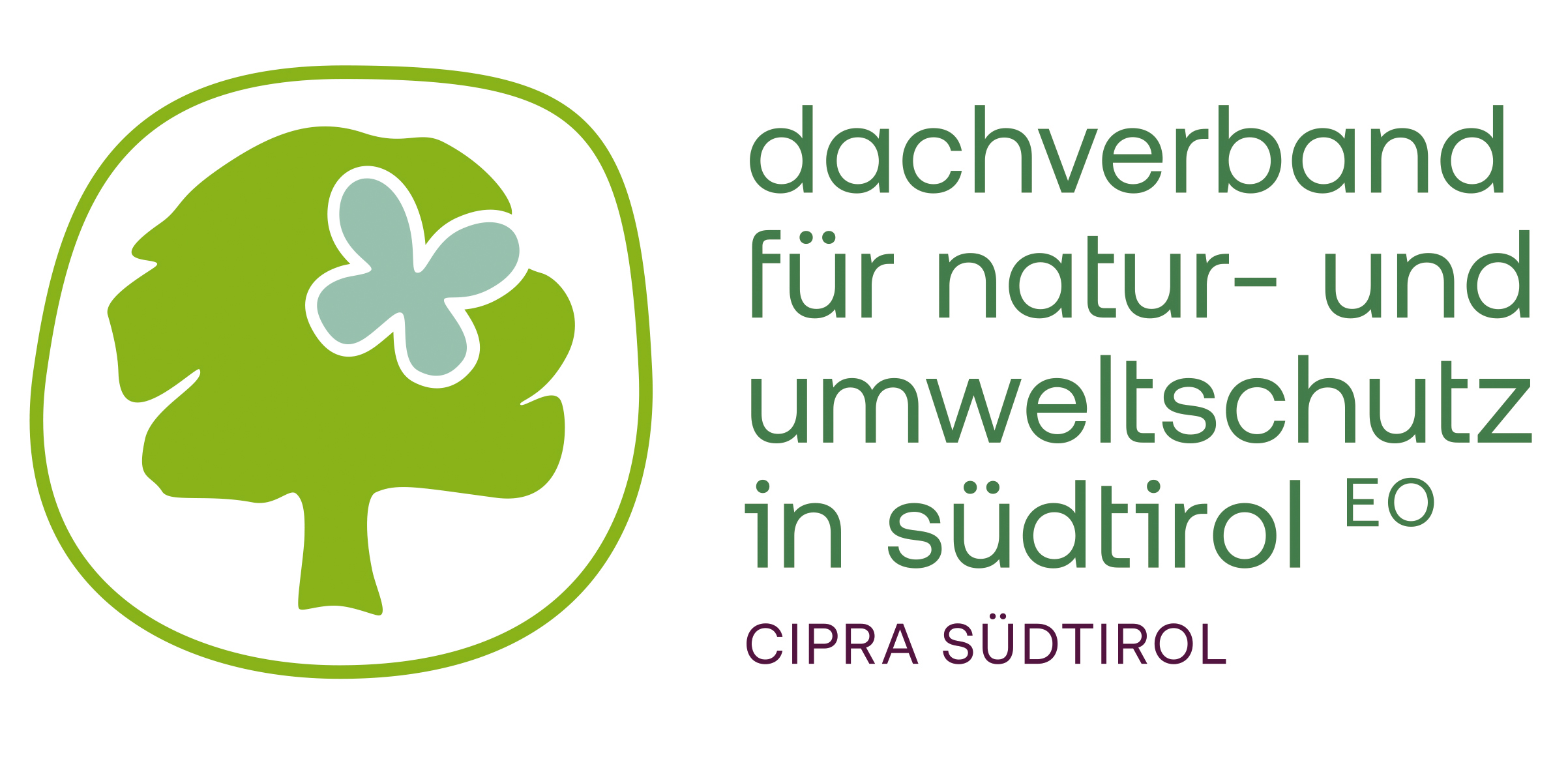 DVN Logo